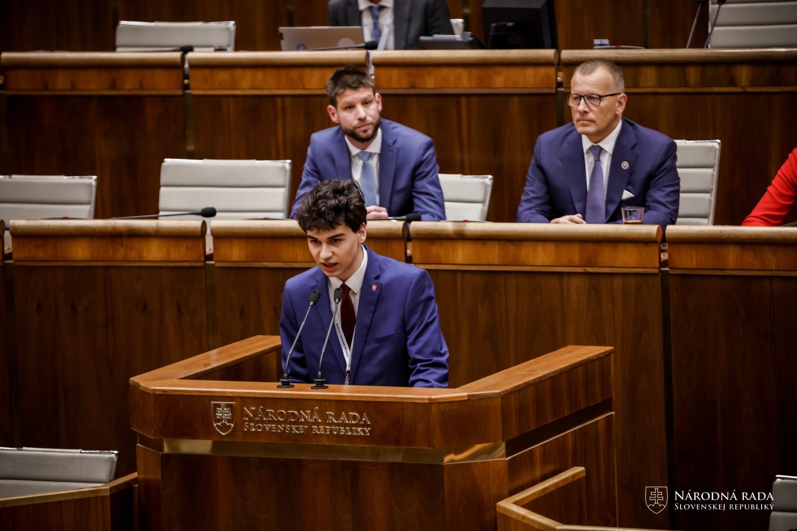 Hlasovanie v pléne